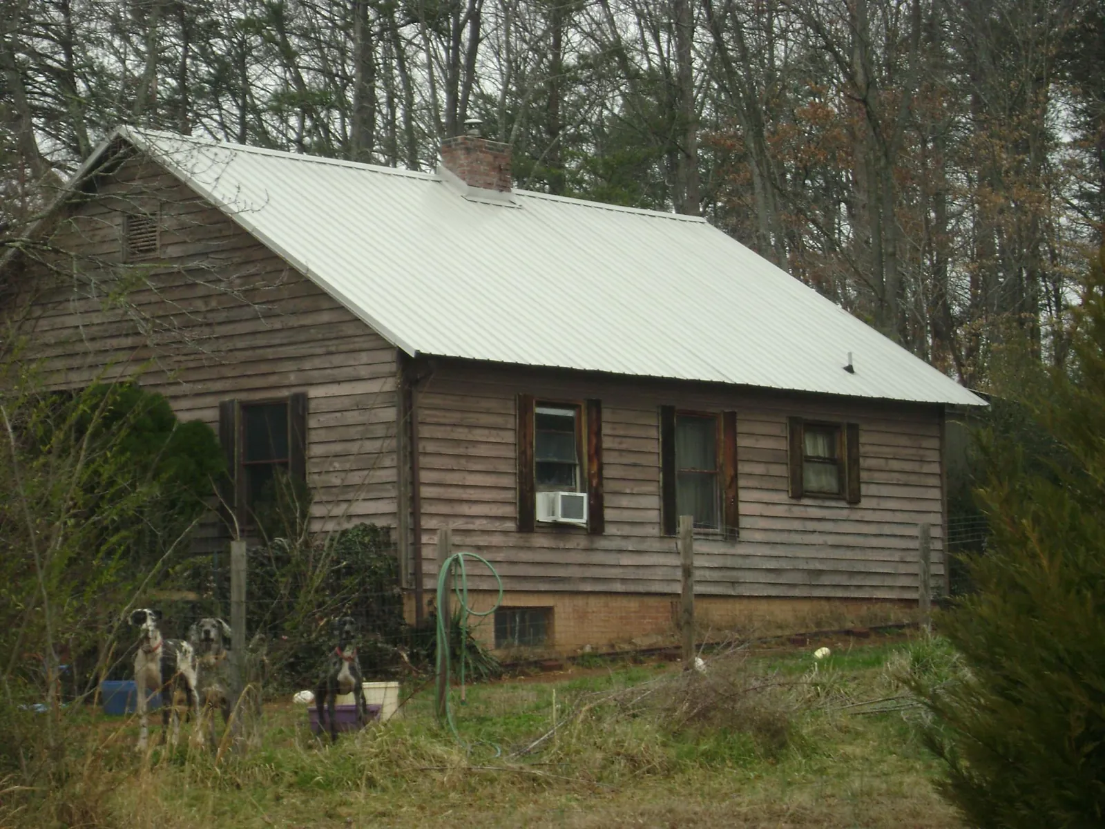 White metal roof on an old wood sided farmhouse, from a Asphalt Shingle Roof Repair job in Michigan Center